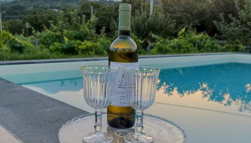 Nake Residenza Artistica - Foto 2, Garden