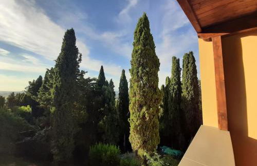 Lajatico Rentals - Terrazza sul Tramonto del Silenzio - Foto 59