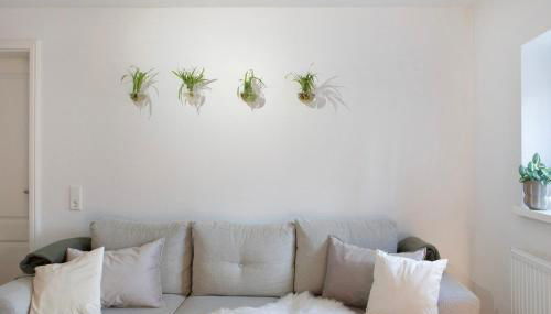 Alsfelder Wein-Suite - Foto 3