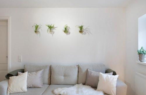 Alsfelder Wein-Suite - Foto 3