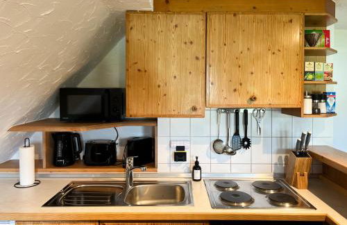 Schwarzwald Apartments im Haus Tanneck - Feldberg - Titisee - Foto 24