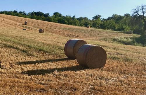 Agriturismo Colpo di Fortuna - Foto 55