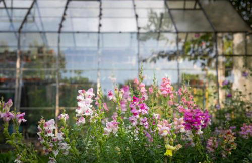 West Cottage, Southlands Farm, Gunnerton - Foto 23