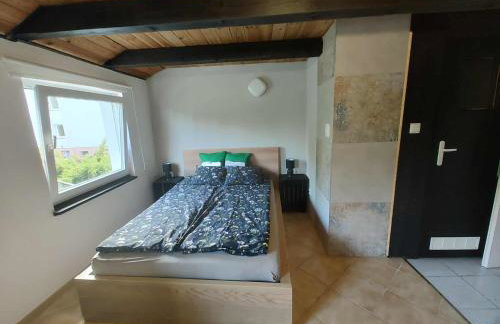 zielono mi - Foto 11