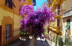 La casa di Licia - Foto 27