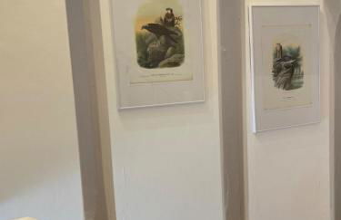 Waldhaus Wiesenblick mit Spielzimmer und Tischtennisraum - Foto 30