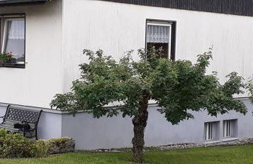 Ferienwohnung Belchenblick - Foto 6