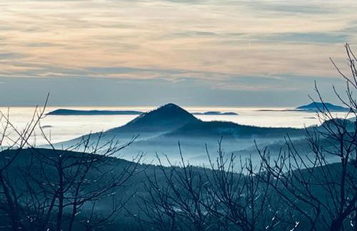 Ferienwohnung Am Wald - Foto 4