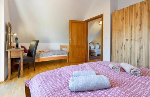 Nice Home In Zelezna Gora With Sauna - Foto 46