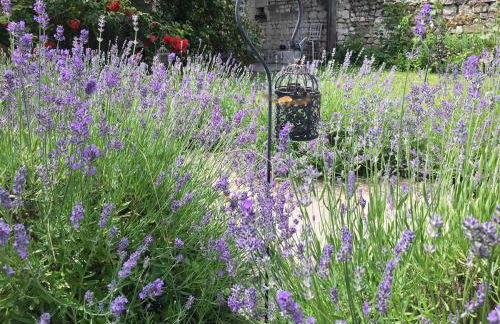 A great place to explore the Val de Loire - Photo 19