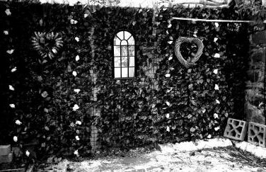 BELFAST COSY CABIN - Foto 1