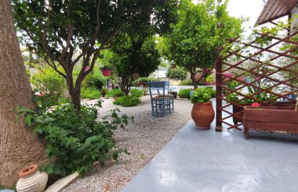 Dreamcatcher of Zeus - Foto 7