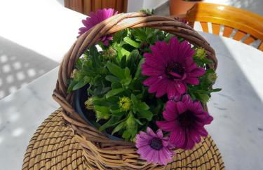 Patmos Little Suites - Foto 54