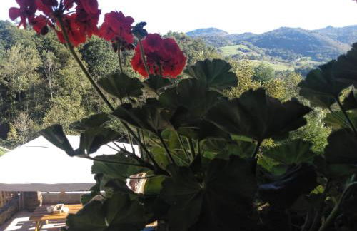 Casa Elena Cangas de Onis con WiFi y parking gratuito - Foto 42