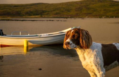 Druidibeg Cabin, Loch Druidibeg, Isle of South Uist - Foto 19