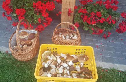 W Sercu Kotliny - luksusowe wille 8 osobowe z balią opalaną drewnem i widokiem na góry - Foto 69