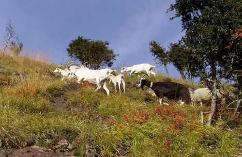 GITE GETEU - Foto 17