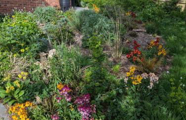 New traditional village house - Foto 32