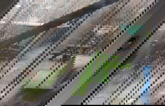 Glasgow Hampden Garden Apartment - Foto 11