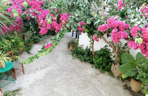 Katerina Rooms & Studios - Foto 38