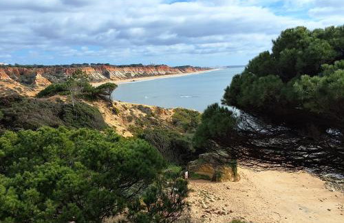 Villa paradise - Foto 31