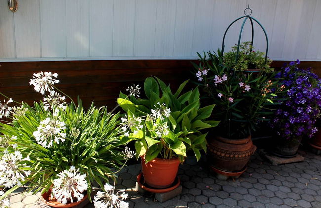 Bauernhaus Bungalow in Neubukow Schoner Garten - Foto 14