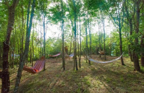 Società Agricola Cacigolara - Photo 65