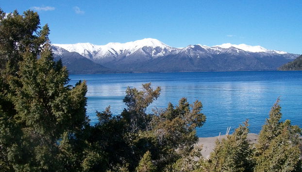 Victoria Island und Myrtle Forest - Tagestour - Foto 2