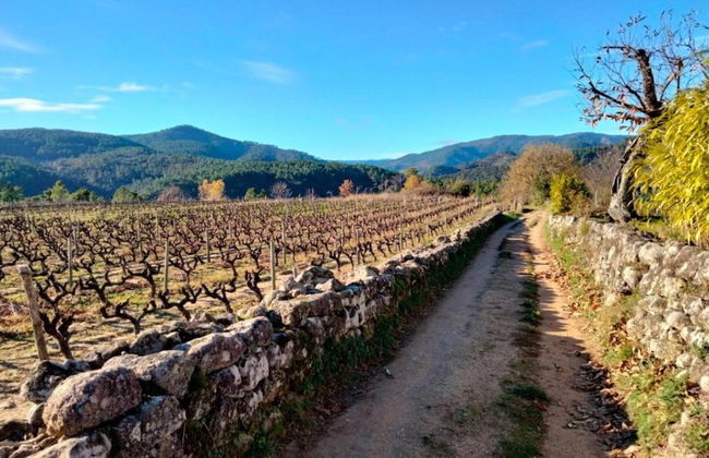 Authentic Stone Mas Retreat - Foto 35