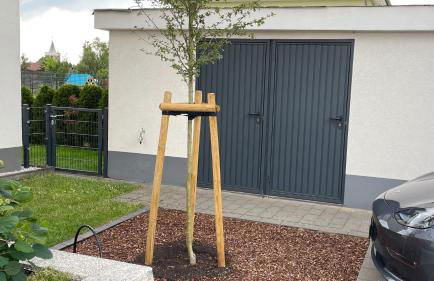 Ferienwohnung am Gurkenradweg - Foto 40