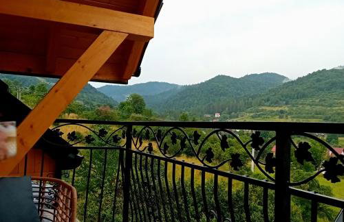 Apartamenty Na Brzegu Szczawnica - Photo 7