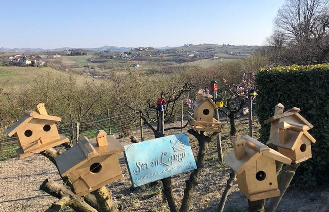 Langhe Apartment in Bottega di Rosanna - Foto 27