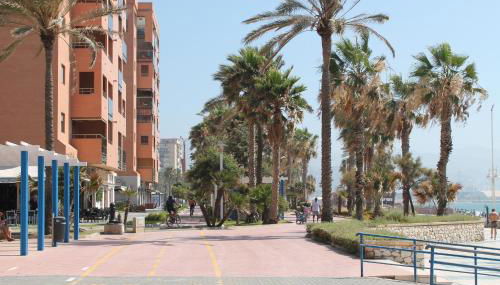 PACIFICO 18 - Photo 2