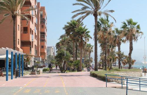 PACIFICO 18 - Photo 2