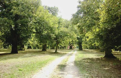 Casale Pomodoro - Foto 32