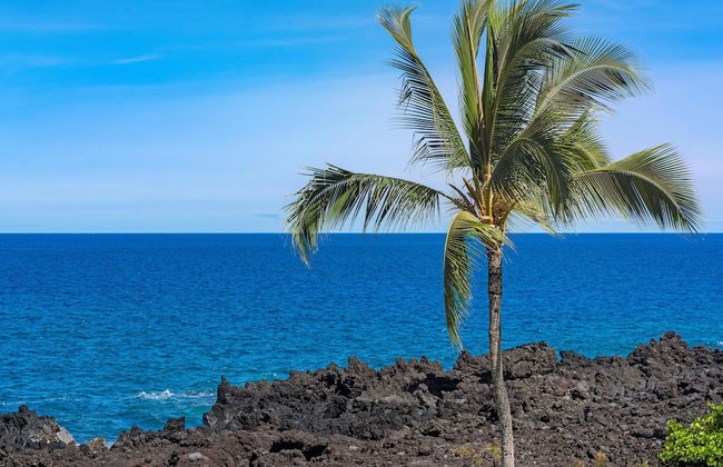 Big Island Kanaloa At Kona 2003 3 Bedroom Condo - Foto 29