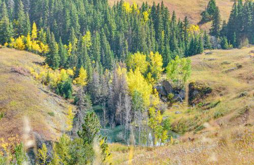 7 Mi to Bighorn Natl Forest Dog-Friendly Home - Foto 33