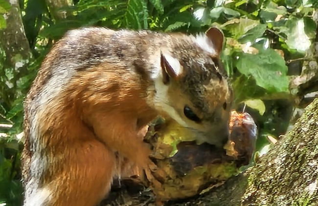 Macho Mora Mountain Lodge - Foto 25