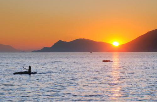 Heracles Guesthouse - Photo 16