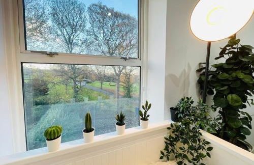 Hackney Studios by Sleepy - Foto 7