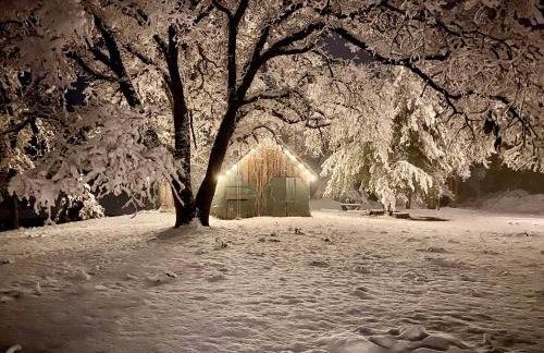 Romantic Forest Lovers Nest by Casa Oso - Foto 22