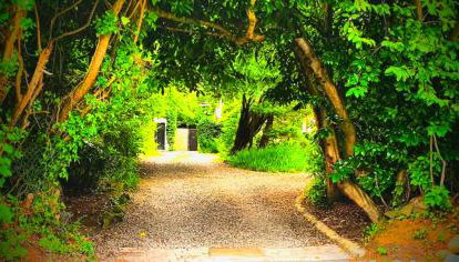 Charming Victorian Coach House - Foto 5