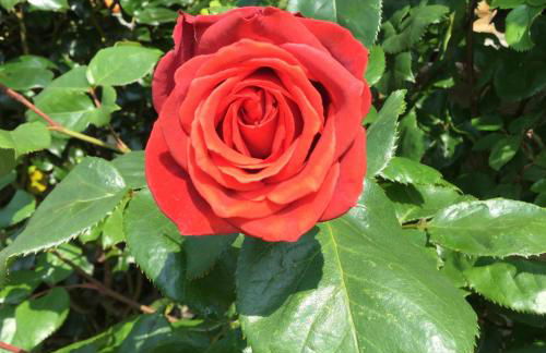 La Maisonnette de Senlis - Foto 32