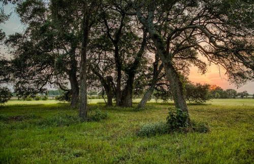 The Winn Retreat in Round Top, a serene escape - Foto 23