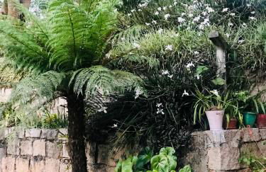 Chalé Boa Vista - Photo 26