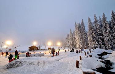 Czarna Góra Apartament 319 - Foto 32