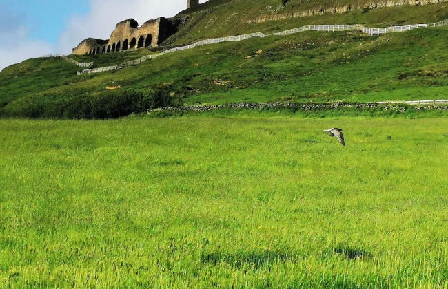 Craven Garth Cottages - Foto 68