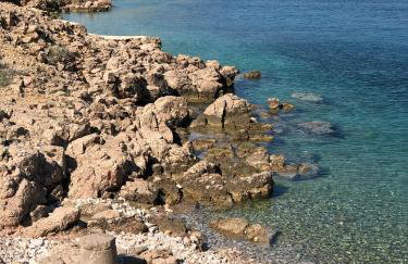 Apartment Vila ** - Photo 28