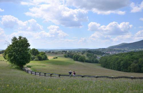 Horizons du Haut - Foto 23