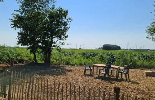 Die Sonnenblume - Foto 11